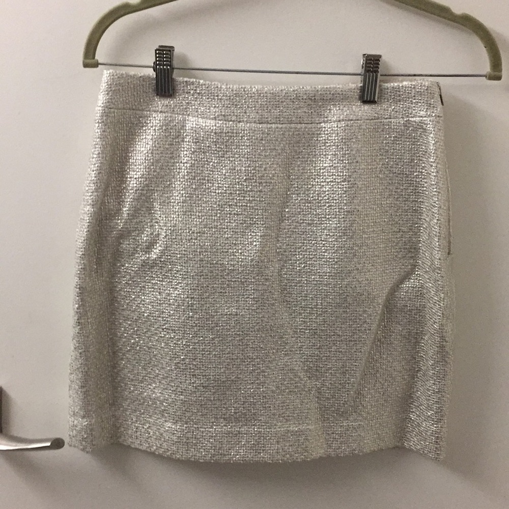 Banana Republic sparkly skirt